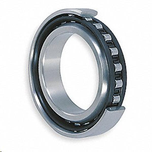 45 mm x 100 mm x 25 mm E NTN N309ET2X Single row Cylindrical roller bearing #1 image